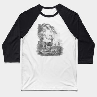 Deer in The Forest Vintage Print Baseball T-Shirt